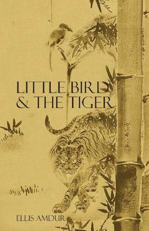 Little Bird & The Tiger front cover